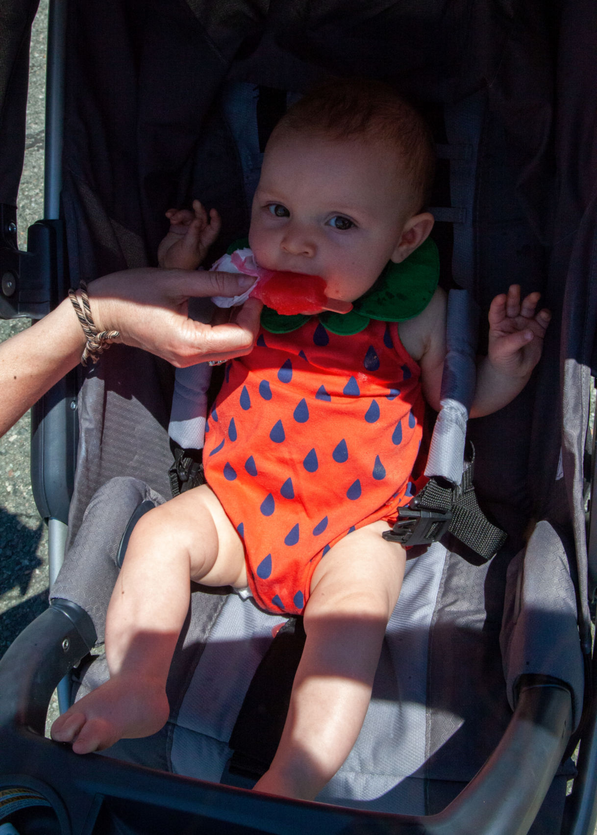 Strawberry Faire: Little Berry